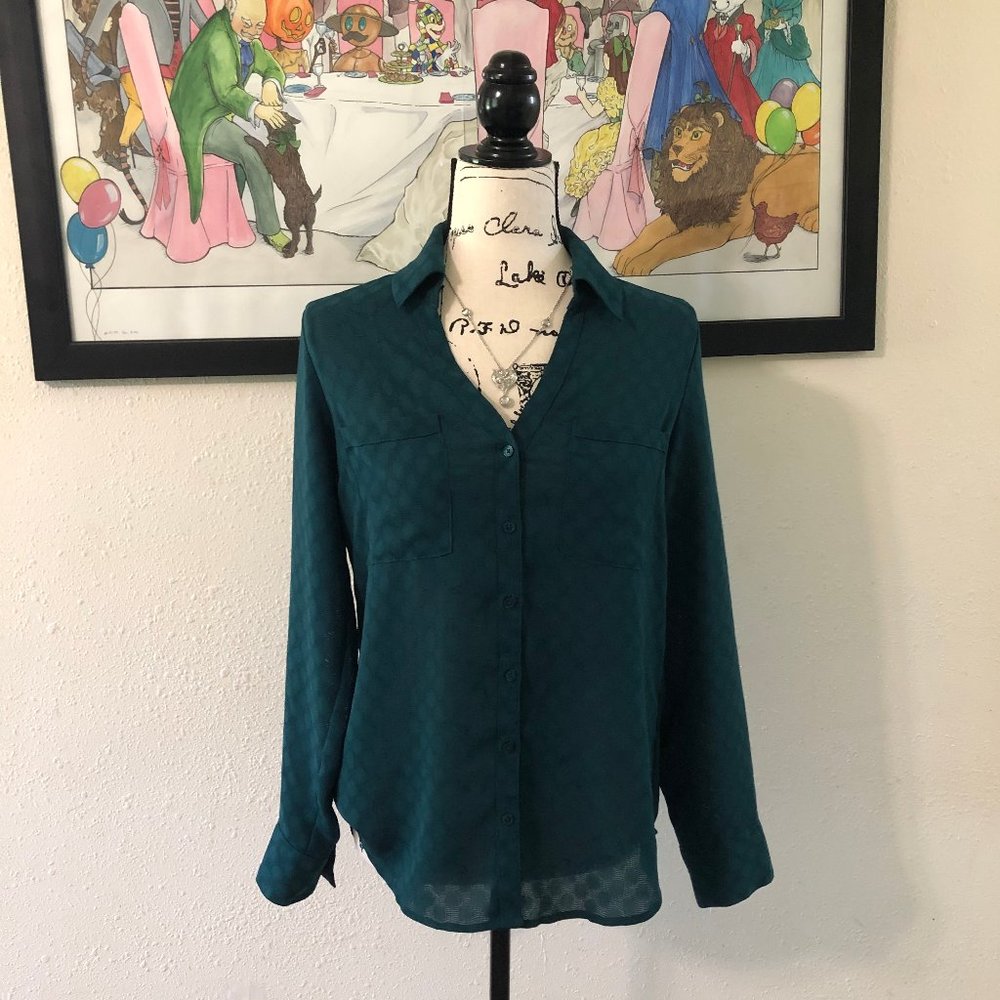 Express Button Down Blouse
